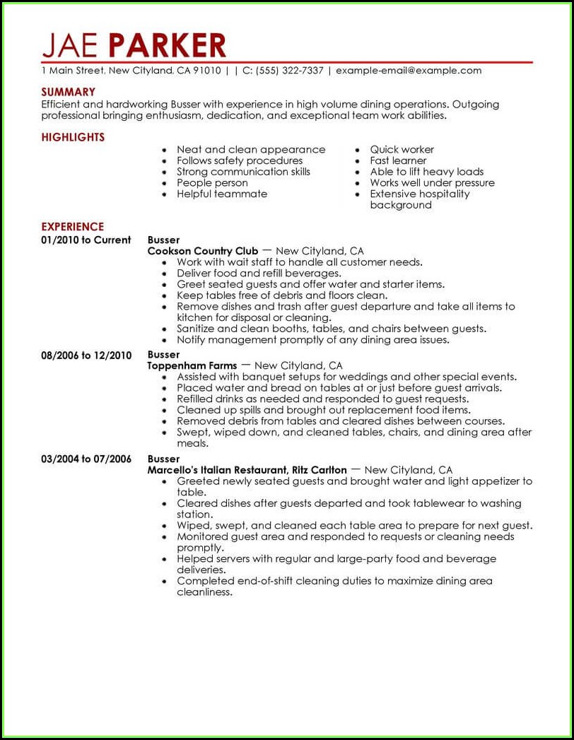 Free Examples Of Resumes Templates