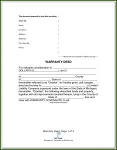 Free Executor Of Estate Form Pdf