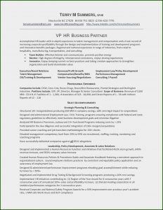 Free Functional Resume Templates
