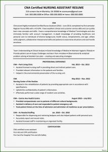 Free Functional Resume Templates Online