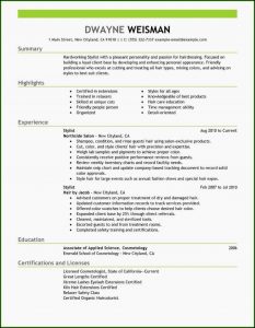 Free Hair Stylist Resume Templates