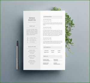 Free Indesign Resume Template 2019