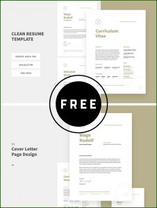 Free Indesign Resume Template Download