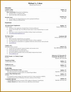 Free Microsoft Word Resume Template 2017