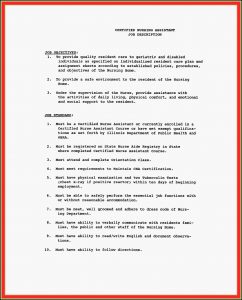 Free Nursing Resume Builder