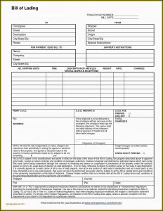 Free Online Lease Forms