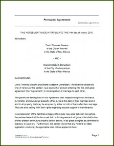 Free Online Prenup Forms
