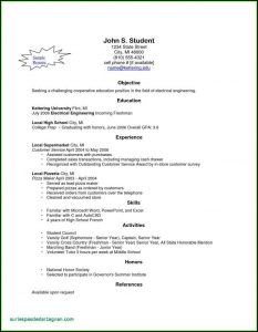 Free Online Resume Builder Printable