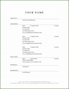 Free Printable Resume Template Pdf