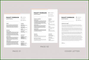 Free Printable Resume Templates Samples