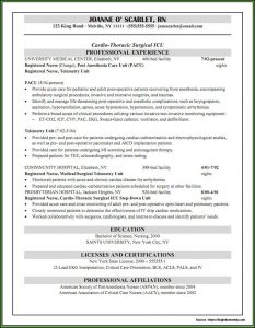 Free Resume Builder For Nurses