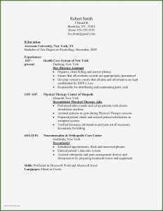 Free Resume For Teachers Templates