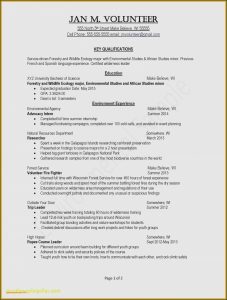 Free Resume Formatting