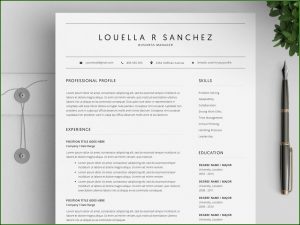 Free Resume Templates 2018 Mac