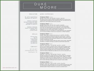 Free Resume Templates For Teachers To Download