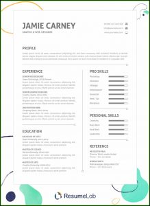Free Resume Templates For Word 2010