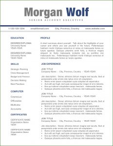 Free Resume Templates Word Mac