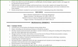 Free Sample Functional Resume Templates