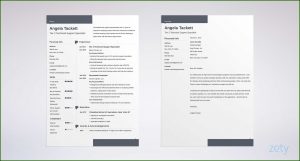 Free Template For Resume Microsoft Word