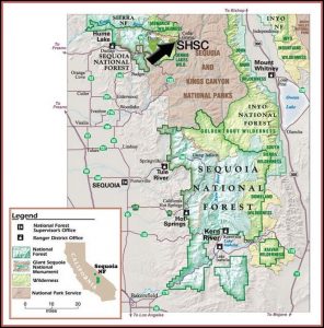 Giant Sequoia Directions