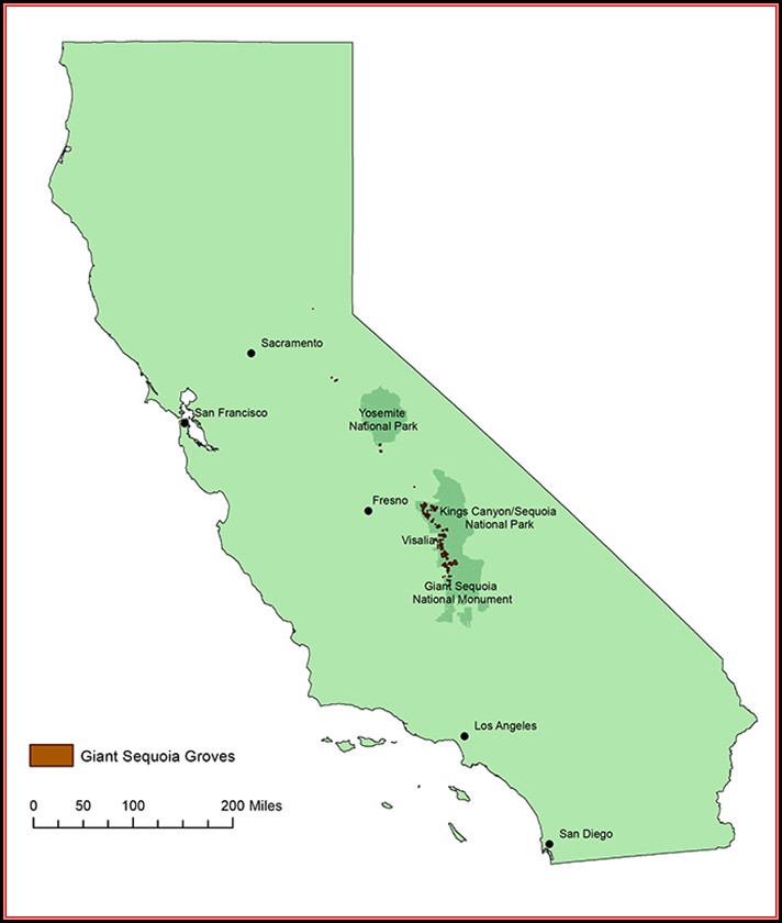Giant Sequoia Location Map