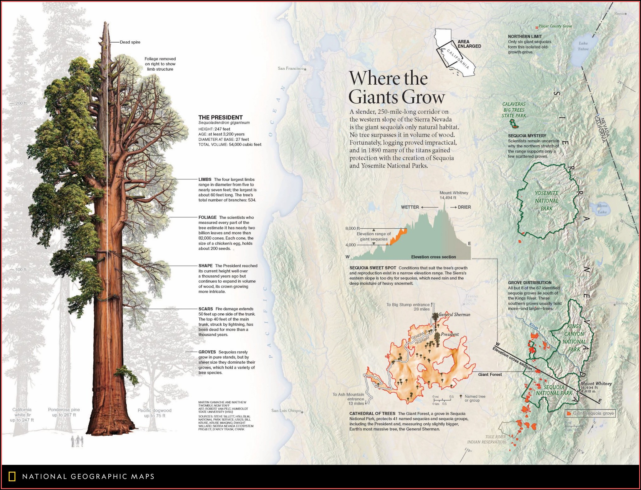 Giant Sequoia Map