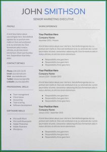 Google Docs Resume Template Download