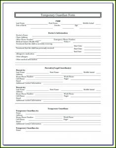Grandparent Guardianship Form Ohio