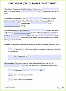 Guardianship Power Of Attorney Fillable Form