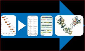 Hdx Epitope Mapping Service