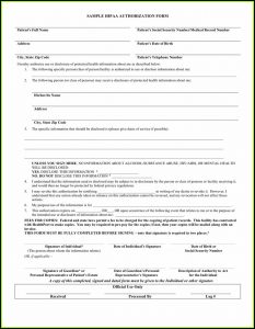 Hipaa Sample Form