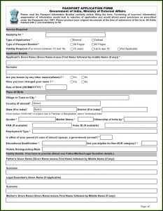 How To Renew Passport Online Application Form