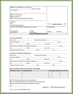 Indian Divorce Papers Format
