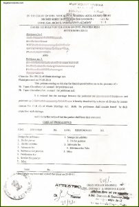 Indian Divorce Petition Format