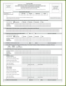 Indian Marriage Divorce Application Form