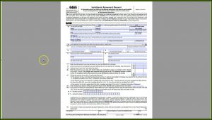 Irs Form 9465 Pdf