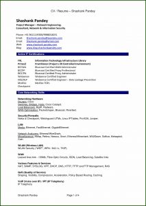 Job Resume Format Pdf For Freshers