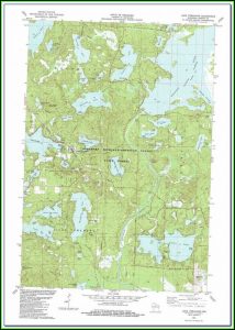 Lake Toho Topographic Map