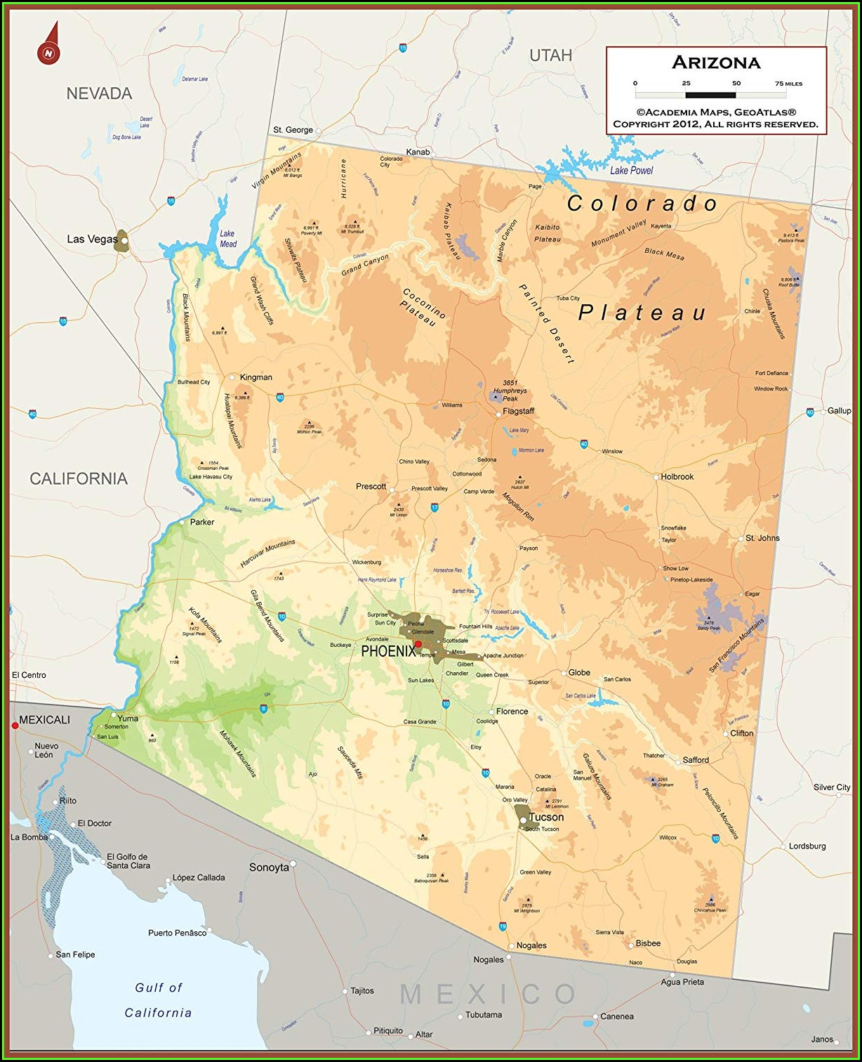 Laminated State Wall Maps