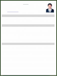 Mba Finance Resume Pdf