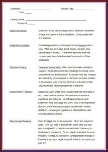 Mft Progress Note Template