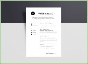 Minimalist Cv Template Free Download
