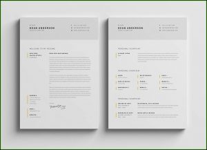 Minimalist Resume Template Psd Free Download