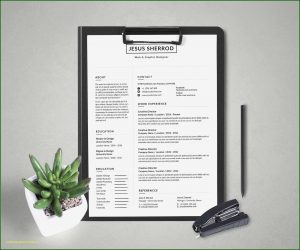 Modern Cv Template Word Free Download 2018