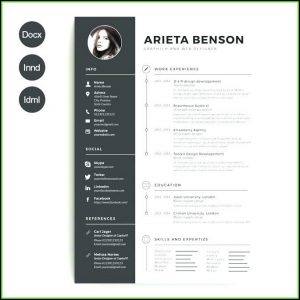 Modern Cv Template Word Free Download 2019