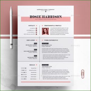 Modern Cv Template Word Free Download