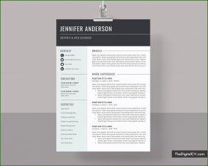 Modern Cv Template Word Free Download Doc