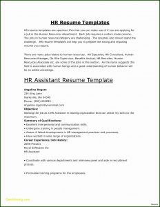 Monster Jobs Resume Template