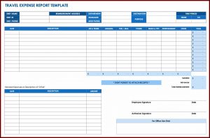Monthly Travel Expense Report Template
