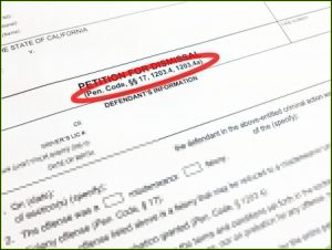 Nj Expungement Forms